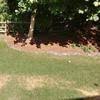 Check spelling or type a new query. Top 645 Trugreen Lawn Care Reviews Page 95