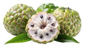 Image result for Annona reticulata