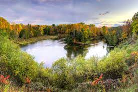 Maybe you would like to learn more about one of these? Hiking The Loop Manistee River Trail North Country Trail Loop Manistee County Tourism Manistee Michigan