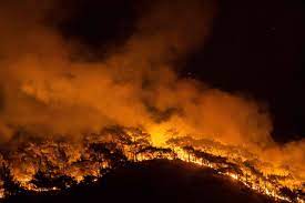 Vandaag heeft turkije te kampen gehad met zware overstromingen. Hevige Bosbranden Woeden In Turkije Nrc