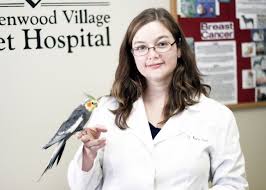 You deserve the peace of mind that comes with comprehensive emergency care, so that's precisely what we'll deliver to you and your pet. Glenwood Village Pet Hospital Glenwood Pet Hospital