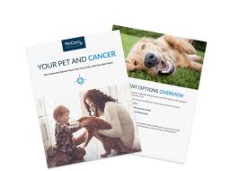 The hardest thing about diagnosing cancer in a dog or cat is that it manifests in symptoms that are so broad and across the spectrum. Nasal Cancer In Dogs Symptoms Treatment Petcure Oncology