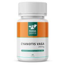 Image result for Cyanotis vaga