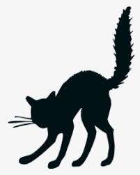 I love her simple and direct design. Halloween Black Cat Drawing Das Wilde Buch Black Cat Halloween Drawing Hd Png Download Transparent Png Image Pngitem