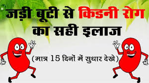 Can Ayurveda Help In Recovering A Damaged Kidney Kidney Damage Doesn T Happen In A Day It Is Causes Of Kidney Disease Ayurveda Hospital Ayurvedic Treatment