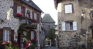 Salers Auvergne Cattle For Sale Breeders Image