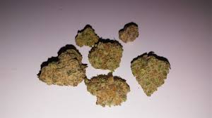 White Urkle Aka White Erkle Marijuana Strain Information Leafly