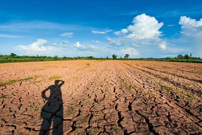 डाउन टू अर्थ विश्लेषण: मॉनसून ने किया पस्त, क्या बदलना होगा फसल चक्र?
