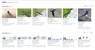 The student fills out the information on the wheel. Explore Birds In Ebird Help Center