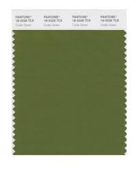 Pantone Smart 18 0328x Color Swatch Card Cedar Green Pantone Http Www Amazon Com Dp B004o7dmv4 Ref Cm Sw R Pi Dp 3edt Pantone Color Swatch Green House Paint