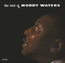 The Best Of Muddy Waters, płyta winylowa