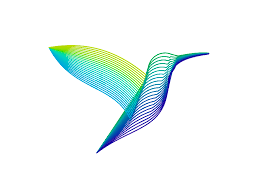 Colibri Hummingbird Colorful Logo Design Symbol Colorful Logo Design Logo Design Hummingbird Colors
