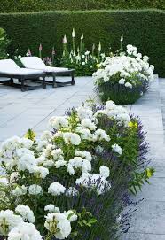 Duftende Und Bluhende Terrassenbepflanzung Ein Fest Fur Alle Sinne Blumenbeet Ideen Garten Blumenbeet