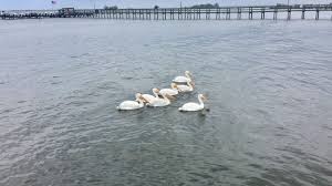 Check spelling or type a new query. Thanksgiving Day Weather In Sebastian Vero Beach Sebastian Daily