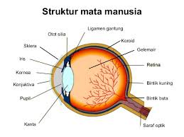 Pendidikan sains, sosial dan alam sekitar pendidikan khas tingkatan 3 kod. Blog Archives Neptungermanl0