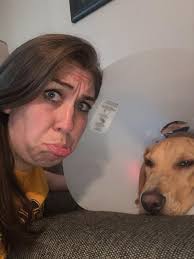 Boxer's vet visit and separation anxiety