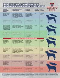 46 Timeless What Can Dogs Eat Chart