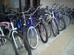 Informed rvers have rated 20 campgrounds near fort myers, florida. Bicycles For Sale Craigslist Fort Myers Florida Bicycle