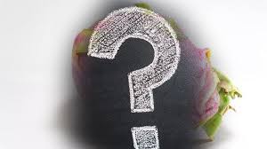 We did not find results for: Buah Ini Bisa Ubah Warna Air Kencing Jadi Merah Muda Atau Ungu Ini Penyebabnya Apakah Berbahaya Halaman All Tribun Jabar