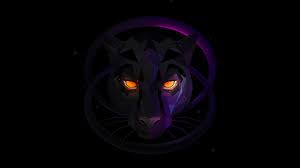 Black Panther Animal Wallpaper Best Wallpaper