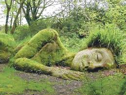 The 10 Best Country Days Out Lost Gardens Of Heligan Lost Garden Cool Countries