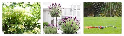 Notre vous répondrons dans les meilleurs délais en vous indiquant les causes identifiées d'une part et d'autre part le cas échéant les gestes d'entretien à accomplir pour que votre. Boutique En Ligne De La Jardinerie Groenrijk Groenrijk