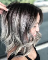 Black And Silver Hair Color Silver Hair In 2020 Silver Hair Color Ash Hair Color Hair Highlights