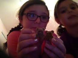 Chloe & Hailey's Toy Channel