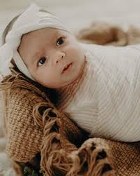 I am a moth Who just wants to share your light I'm just an insect Trying to  get out of the night