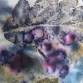 Eco Print onto Fabric with Flowers, Leaves and Ber... event in Kirkcudbright