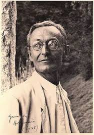 53 ideas de Herman Hesse