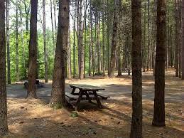 Maybe you would like to learn more about one of these? Sebago Lake State Park Campground Maine Trail Finder