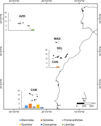 614 he married cosma da costa circa 1590 at madeira, portugal. Restructuring Of The Macaronesia Biogeographic Unit A Marine Multi Taxon Biogeographical Approach Scientific Reports