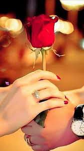 Pin By Stefana Sali On Burak Deniz Rose Flower Photos Cute Love Couple Love Images