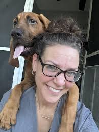 Toilet bowl water dispenser for dogs