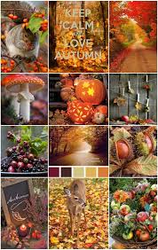 Beautiful Pictures Amazing Photo Herbst Herbst Dekoration Herbst Bilder