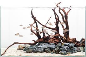 Pin By Uevoli On Fish Fish Aquarium Decorations Aquarium Decorations Aquarium Design