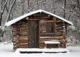 Easy Diy Cabin At First The Goal Was To Clean Up The Woods And Make It Safer After A Tiny Log Cabins Diy Cabin Small Log Cabin