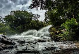 9154 Reviews for Kiliyur Falls in Pattipadi, Yercaud - Justdial
