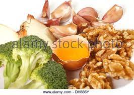 Gli alimenti che contengono fibre. Gli Alimenti Ricchi Di Zolfo Foto Stock Alamy