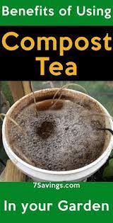 7savingscom Benefits Of Using Compost Tea In Your Graden Composttea Wormtea Compost Benefitsofcomposttea Compost Tea Organic Gardening Tips Compost