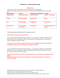 Worksheets are organic macromolecules cloze work, macromolecules exercise. The Big Four Macromolecules Lab Answer Key 1 What Are The