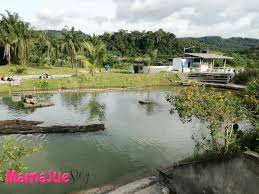 Hulu langat is the fifth largest district in selangor state with an area of 840 square kilometres and a population of 1,141,880 at the 2010 census (provisional result). Mamajue Story