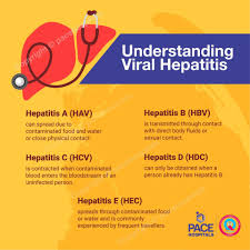 Molecular diagnostics of hepatitis c virus infection: Hepatitis Symptoms Causes Treatment And Prevention