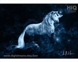 S129 Dapple Grey Stallion Etsy In 2020 Spirit Animal Dark Backgrounds Artwork