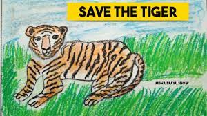 Custom made with care each pair of leggings is printed before being sewn allowing for fun designs on every square inch. Save The Tiger Save The Tiger Drawing For Kids Tiger Conservation