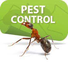 See the most popular durham hotels and accommodations that are favorites among travelers with pets 14 Pest Control Ideas Pest Control Pests Best Pest Control