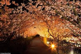 [Hình: images?q=tbn:ANd9GcTJ0kmWhmYuEfieGyFaz_R...g&usqp=CAU]