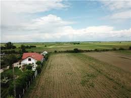 Toate tipurile vanzare (260) inchiriere (12). Vanzari Terenuri Judetul Dambovita 145 Oferte