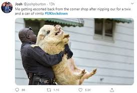 Spotify is a digital music service that gives you access to millions of songs. Hilarious Memes On Day One Of Boris Johnson S Coronavirus Lockdown Daily Mail Online